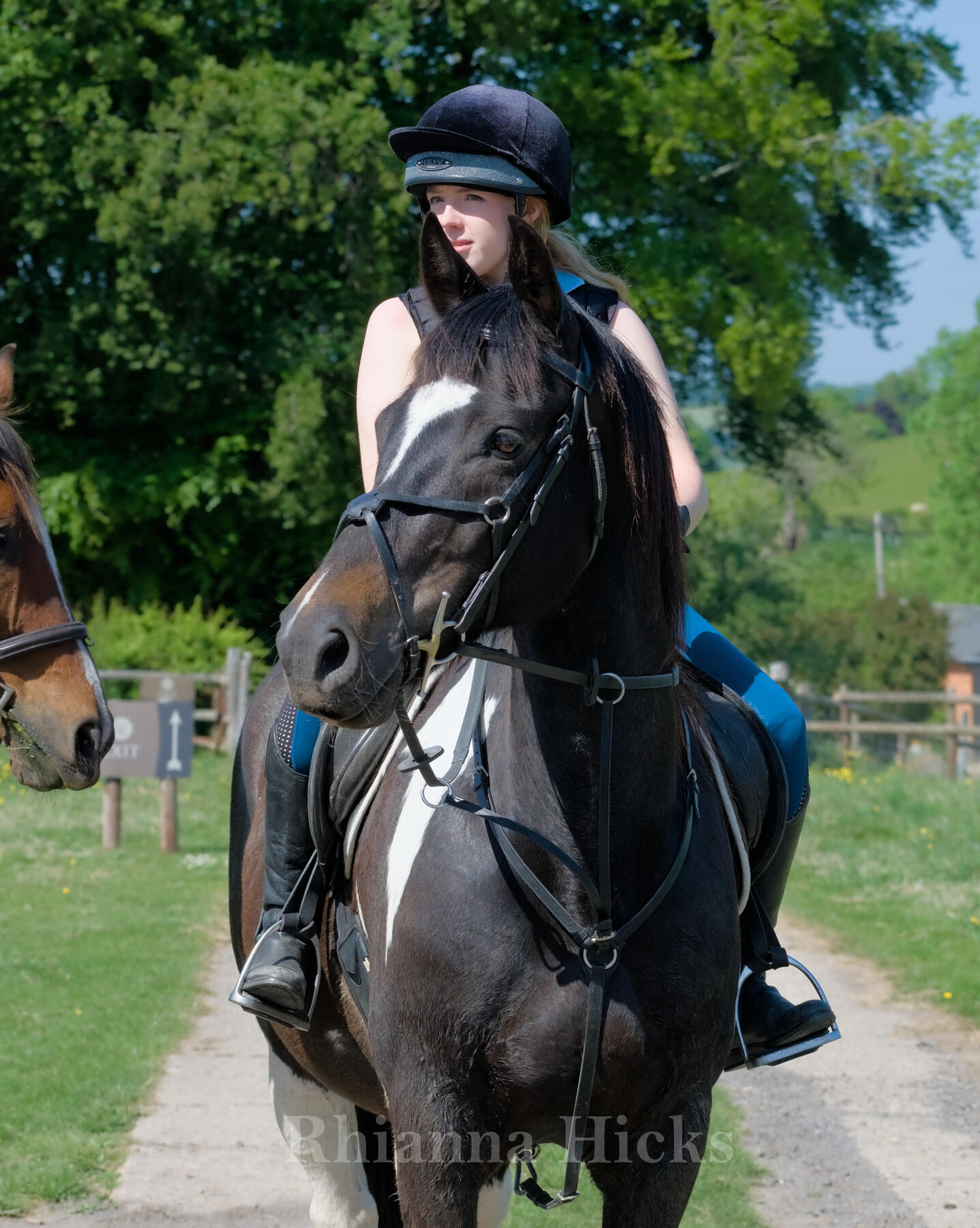 Equine elegance — proud moments