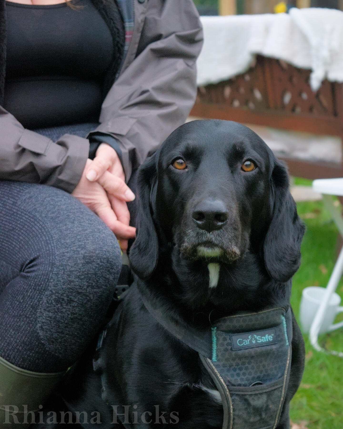 Bonding moments — lifestyle session